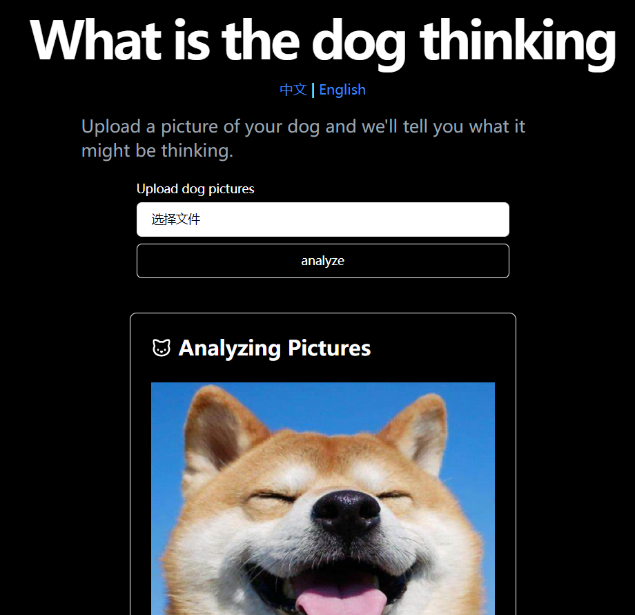 DogThink.top 