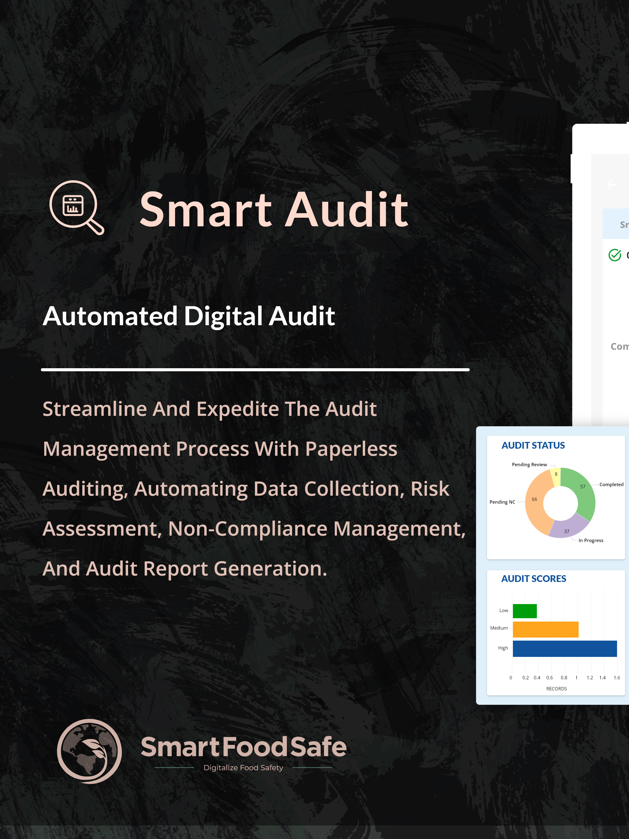 Smart Audit Automated Digital Audit