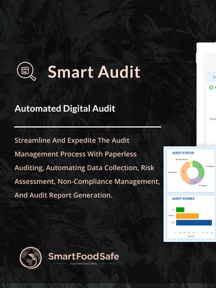 Smart Audit image