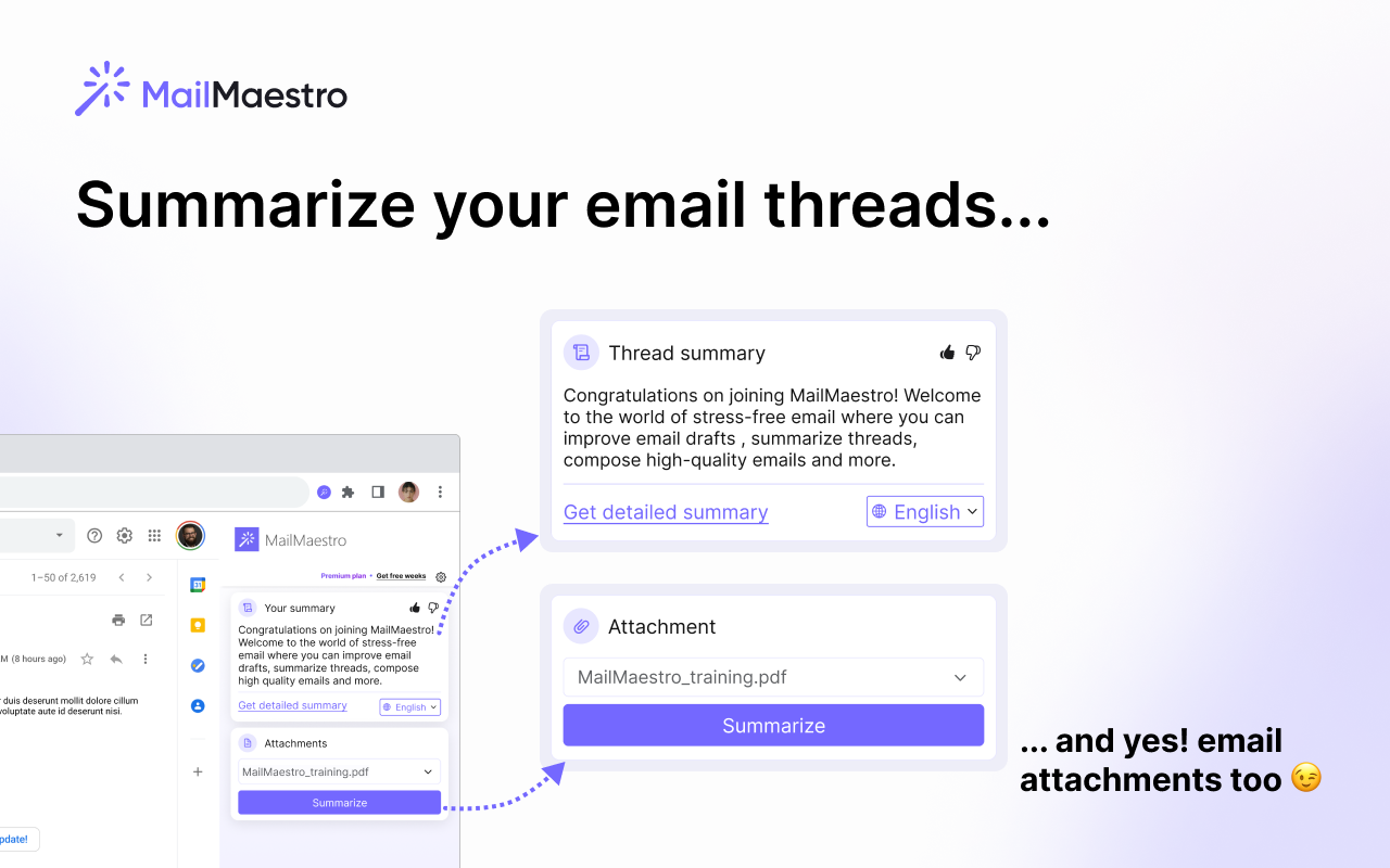 MailMaestro Summarize threads and attachments
