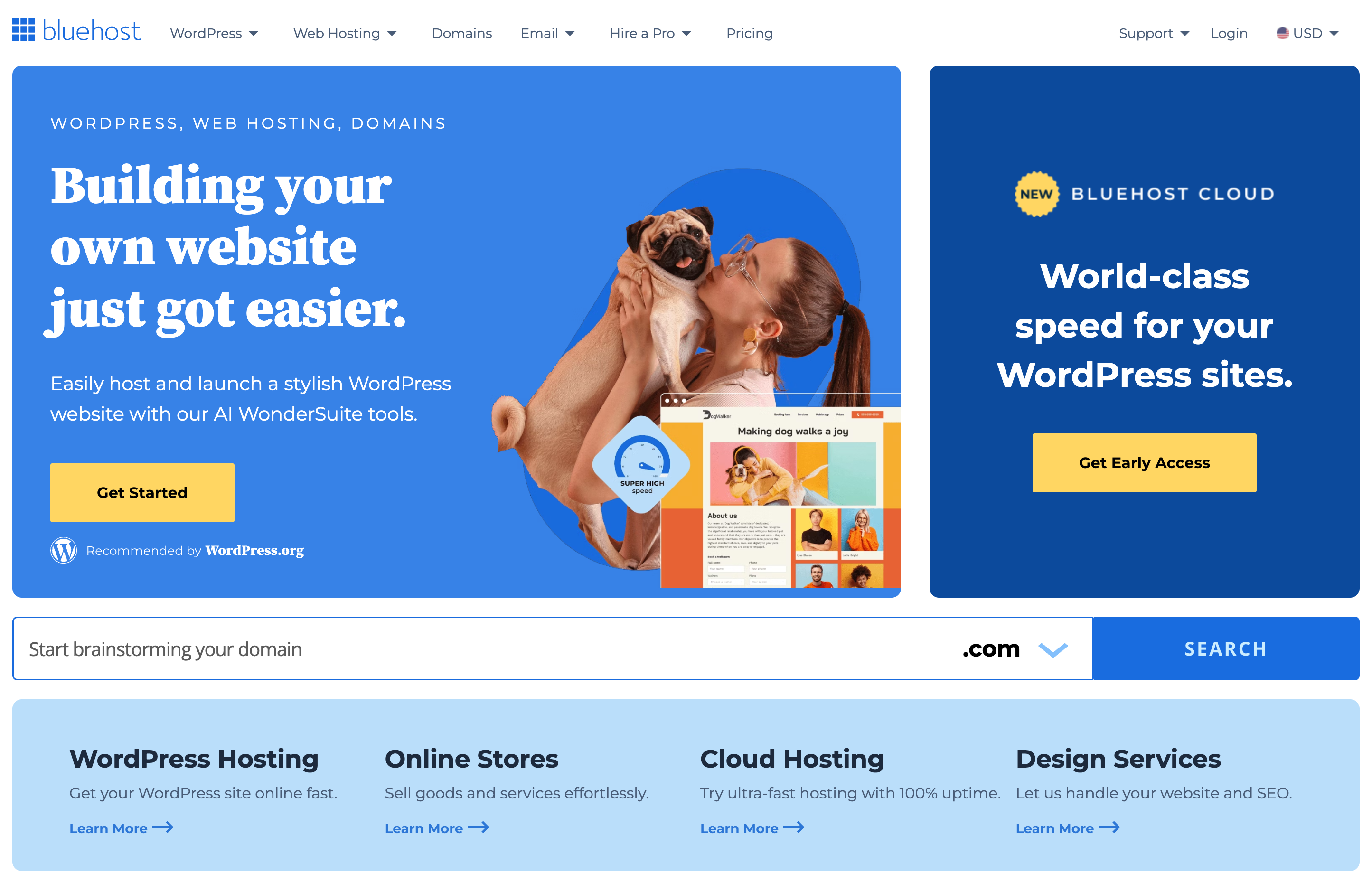 Bluehost Landing page