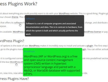 Tooltip Glossary Plugin image