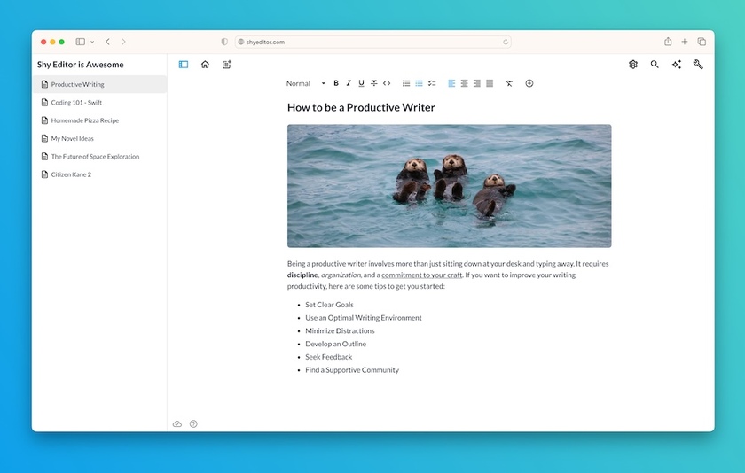 Shy Editor Landing Page
