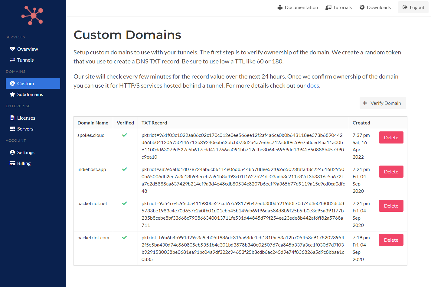 Packetriot Custom Domain Setup Page