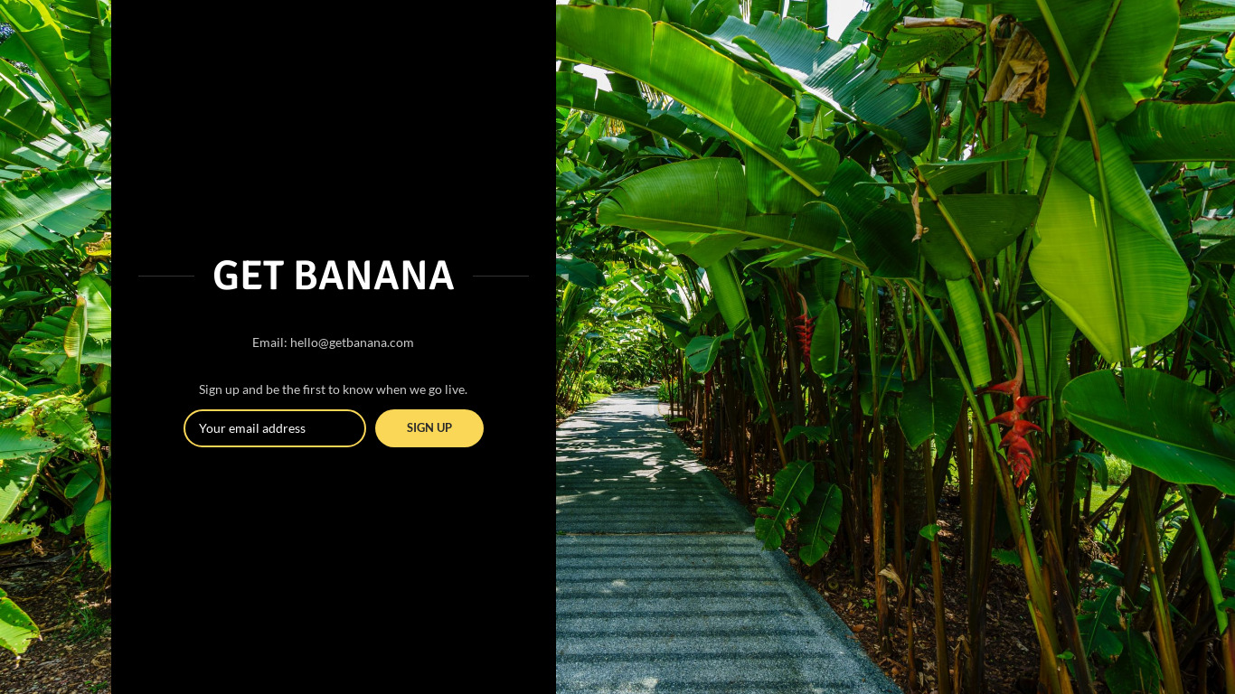 Banana 🍌 Landing page