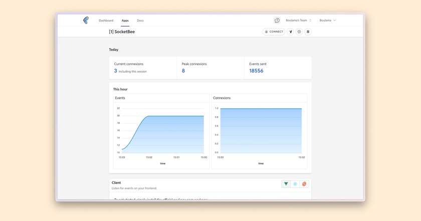 SocketBee Dashboard