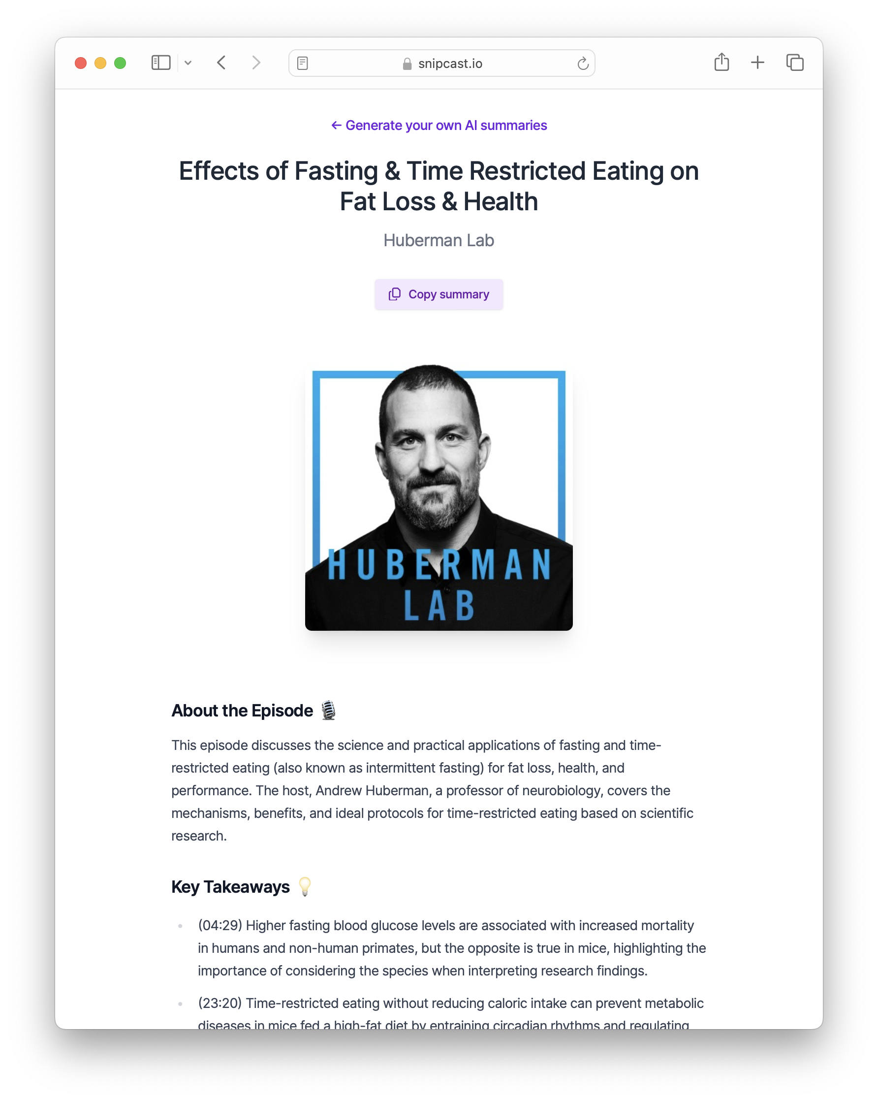 Snipcast Example summary