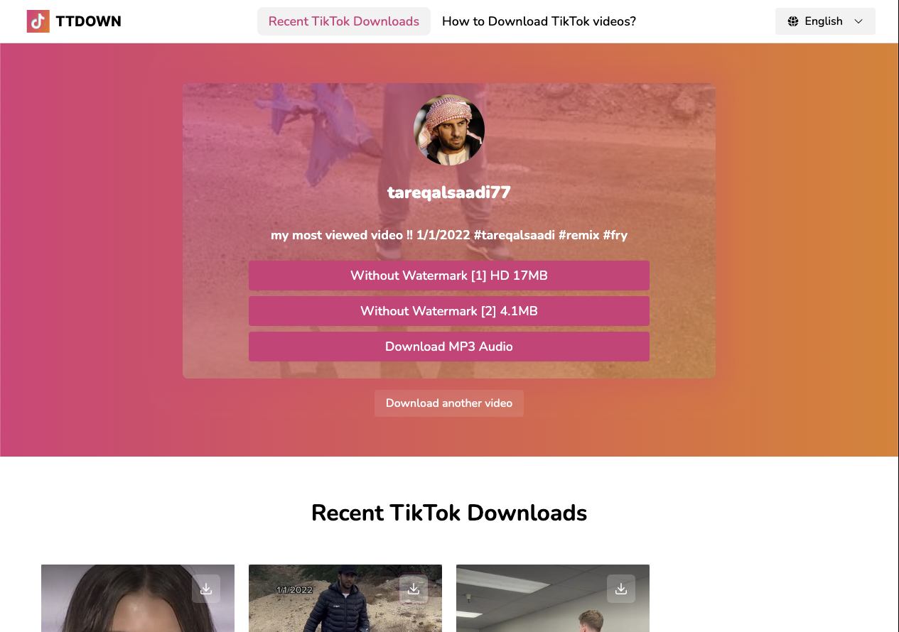 Ttdownloader.co Downloader Form