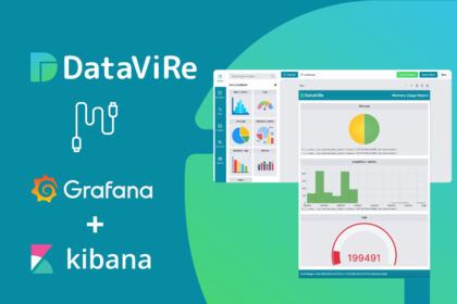 DataViRe image