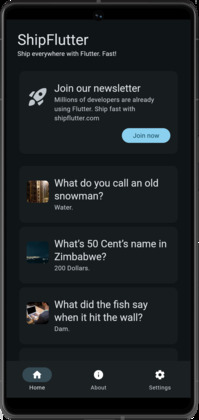 ShipFlutter image