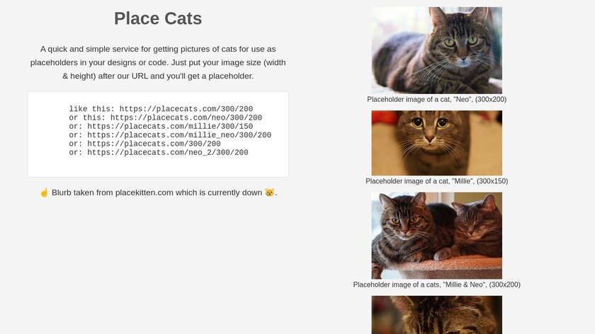 Place Cats Landing Page