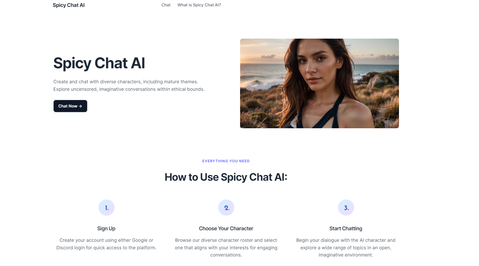 Spicy Chat AI 