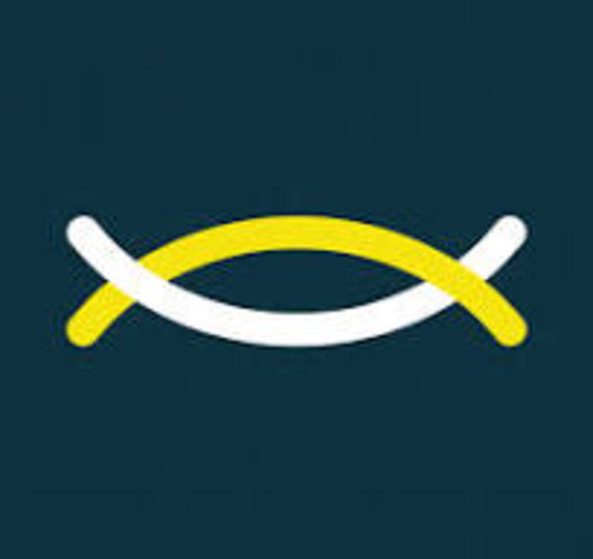 Savvy Security Landing Page