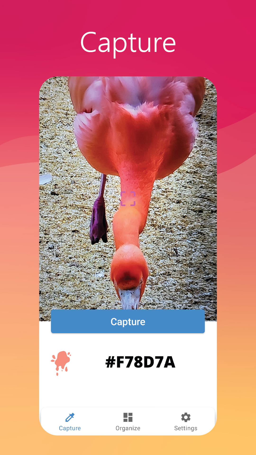 Colors Capture Pro 