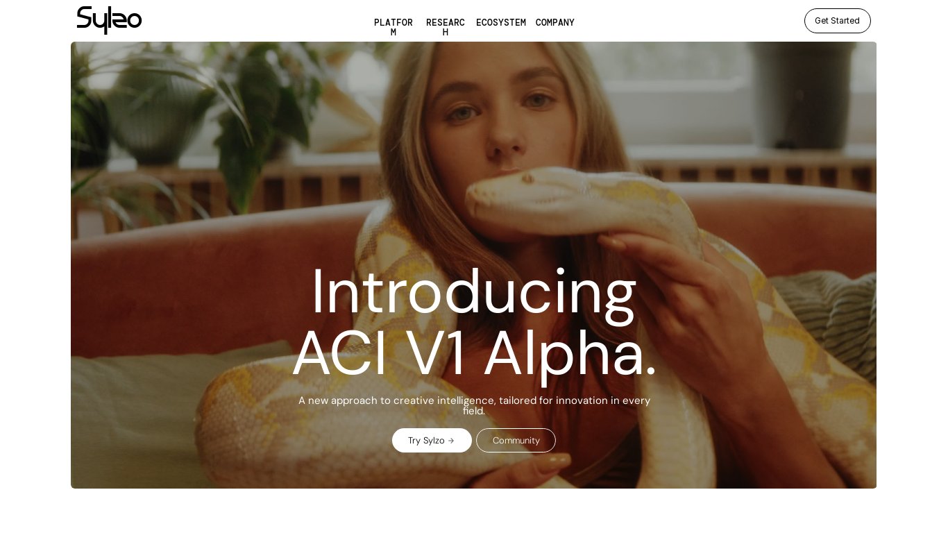 Sylzo Landing page
