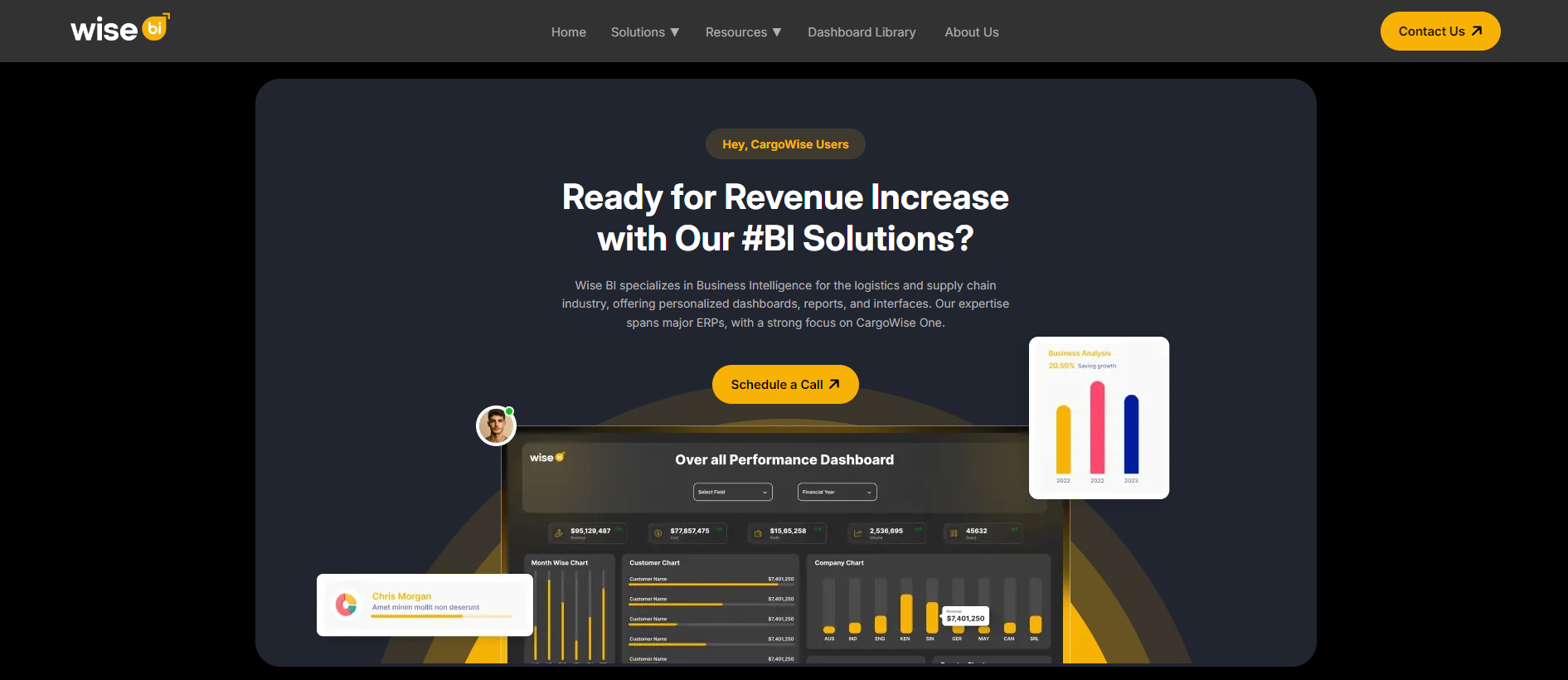 Wise BI Wise Bi Home Page