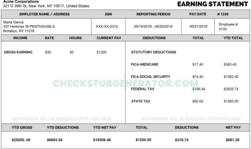 Check Stub Generator Landing Page