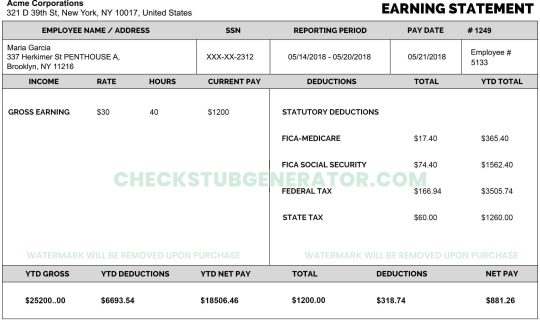 Check Stub Generator paystub templates