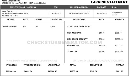 Check Stub Generator paycheck stub template
