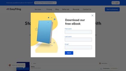 EasyFiling.us screenshot