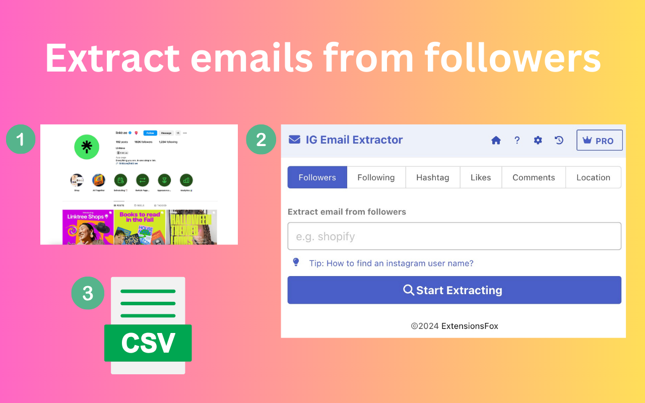 ExtensionFoxs Chrome Extensions IG Email Extractor