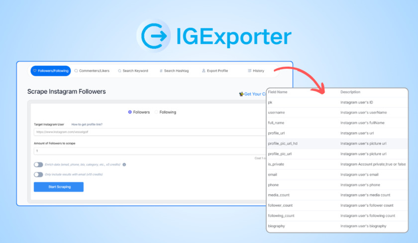 IGExporter.net Landing Page