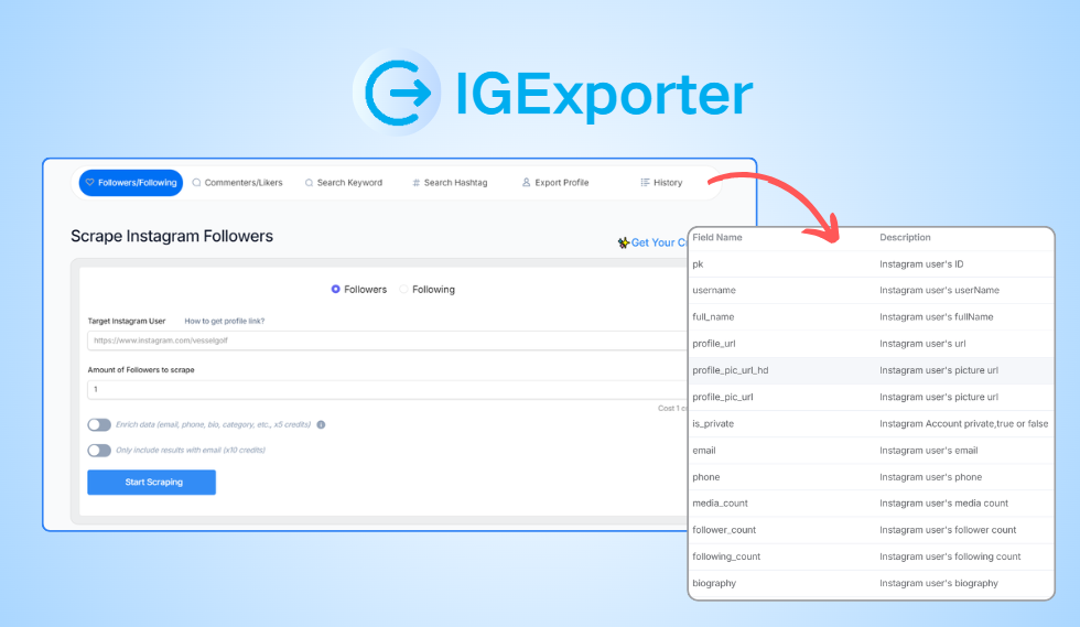 IGExporter.net 