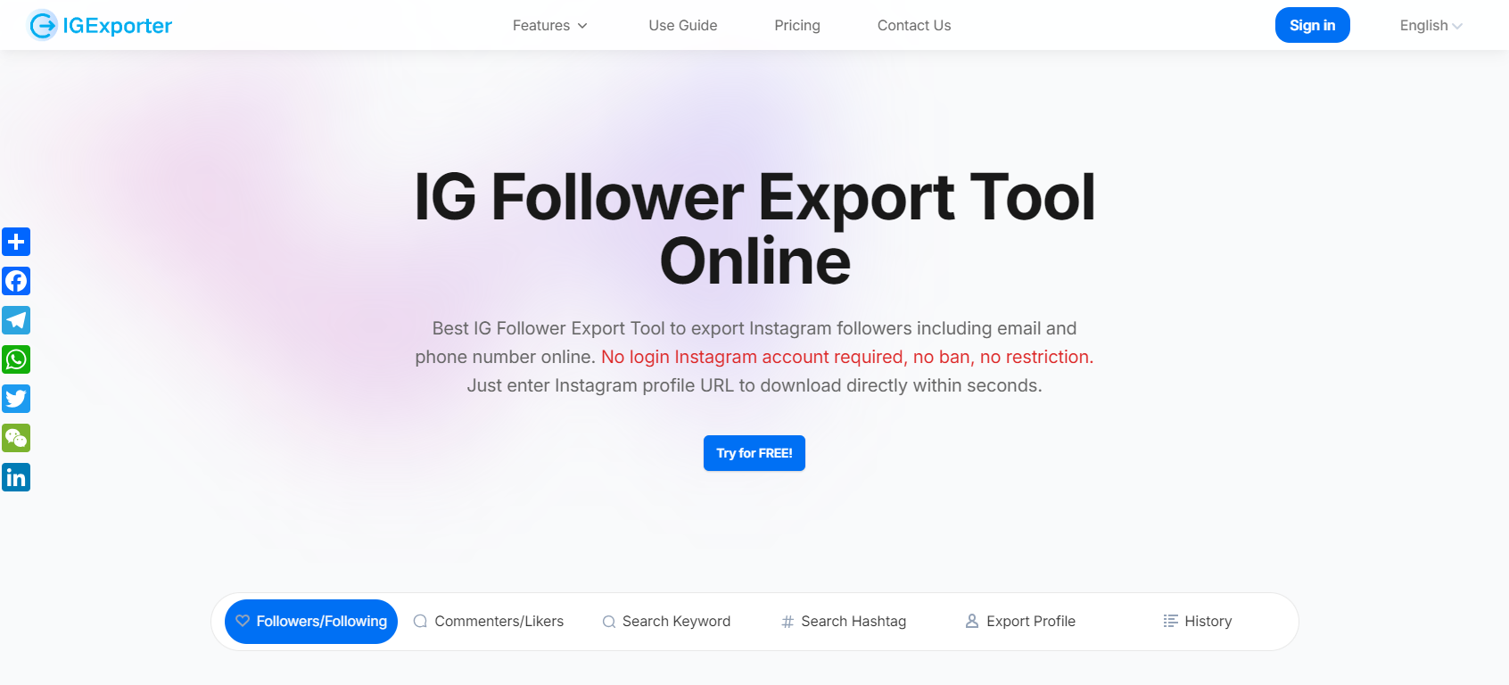 IGExporter.net 