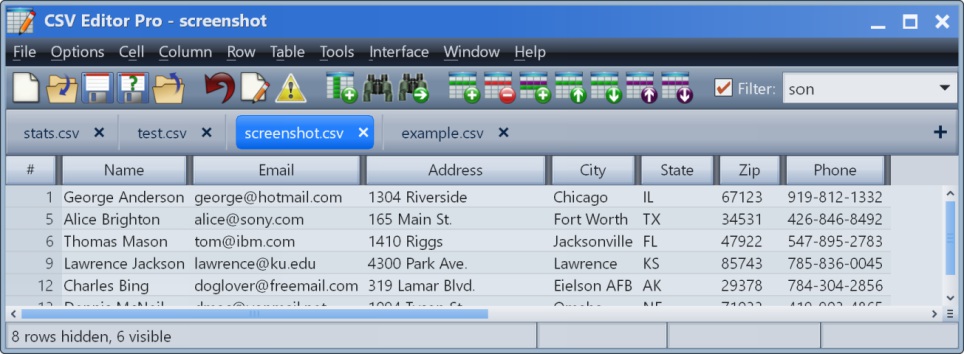 CSV Editor Pro Filter applied