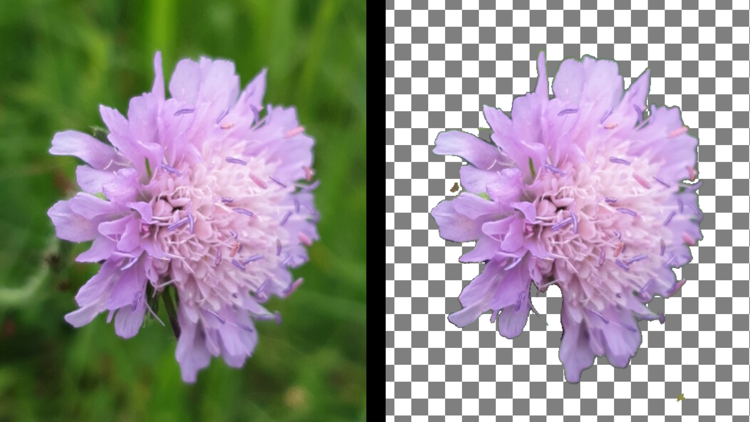 Candli Smart image cropping