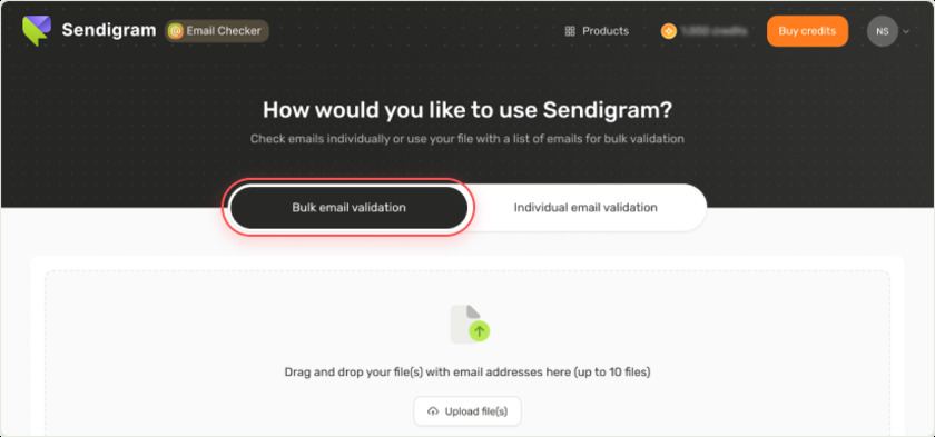 Sendigram Email Checker Landing Page