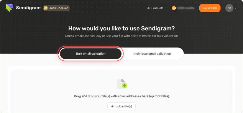 Sendigram Email Checker 