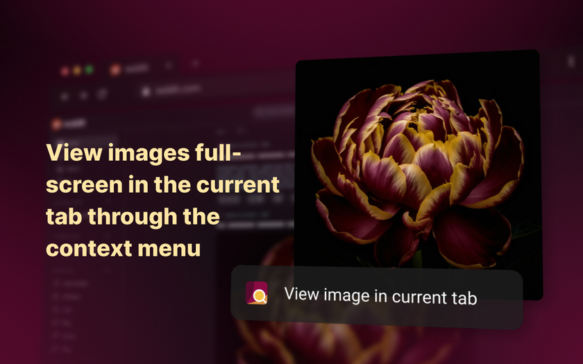 Enhanced Image Viewer Landing Page