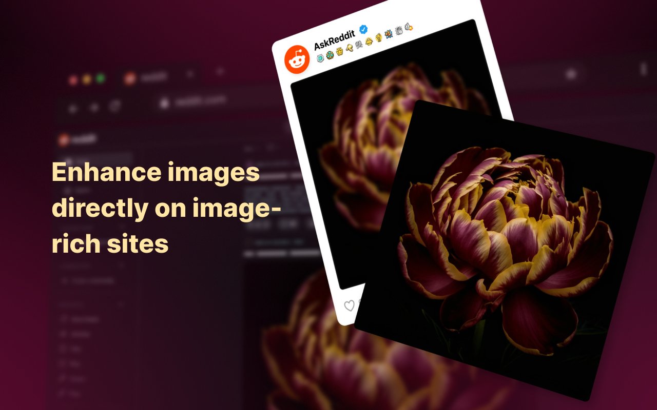 Enhanced Image Viewer 