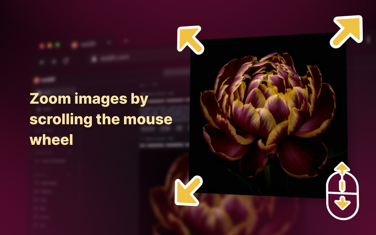 Enhanced Image Viewer 