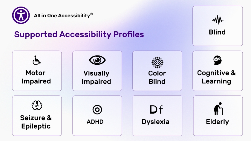SkynetTechnologies All in One Accessibility Supported Accessibility Profiles in All in One Accessibility 