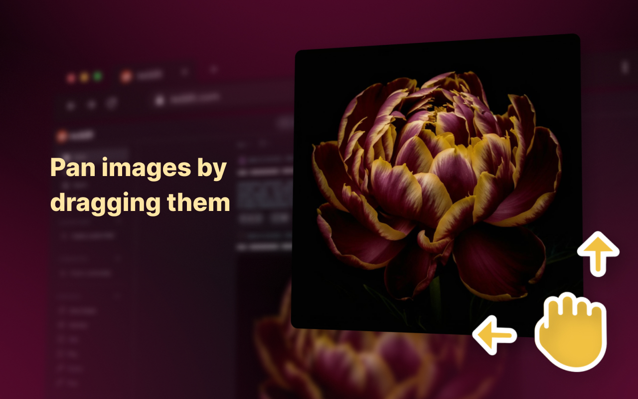 Enhanced Image Viewer 