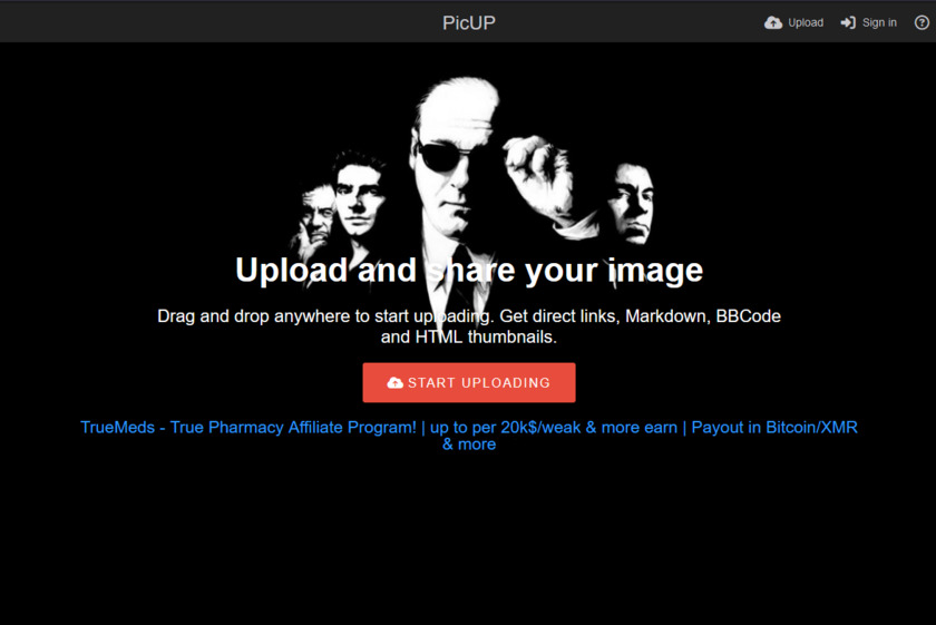 PicUP.to Landing Page
