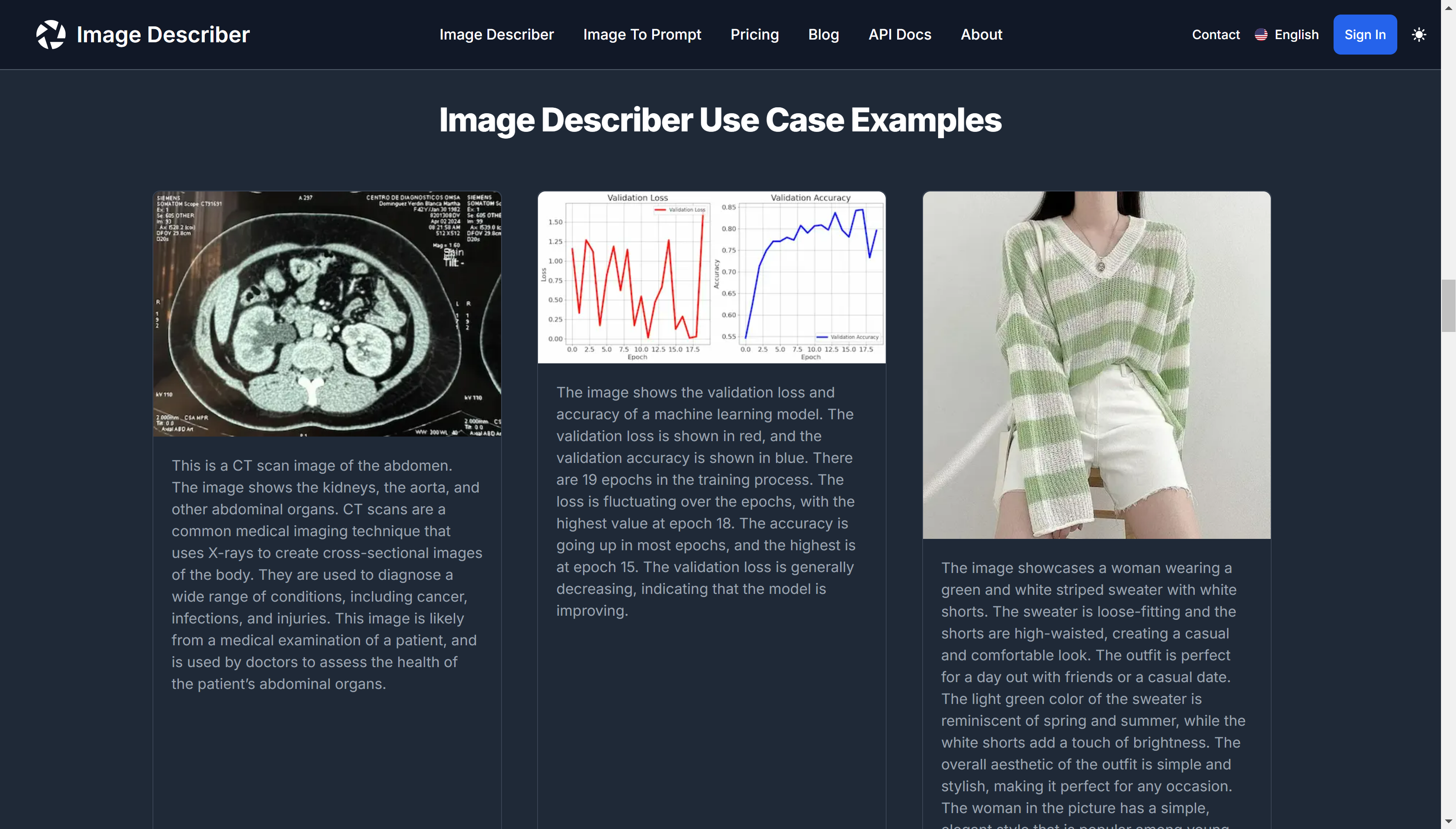 Image Describer App examples
