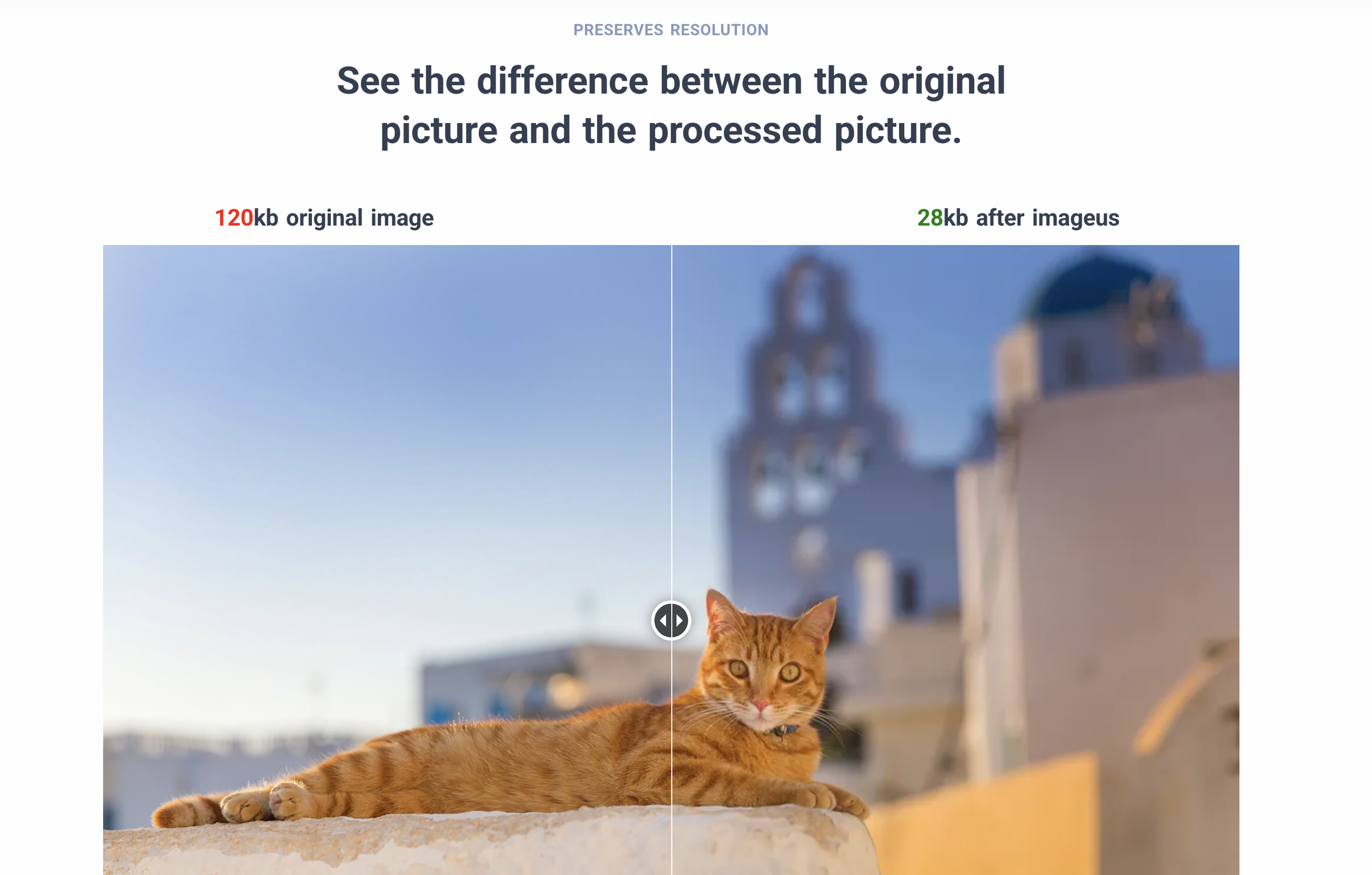 Imageus.dev Image PRESERVES RESOLUTION 