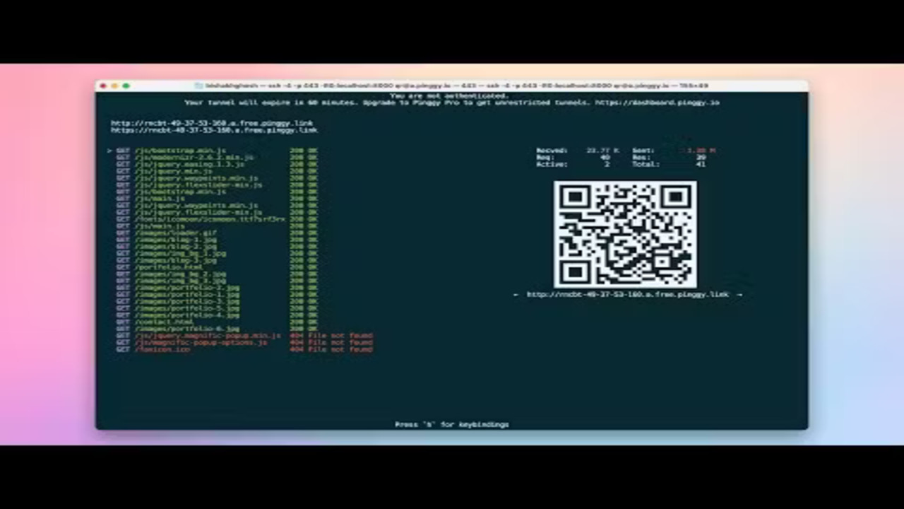 Pinggy.io 