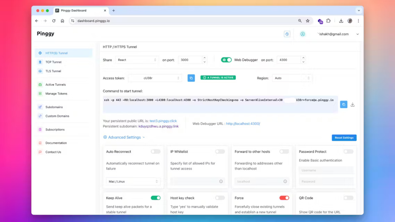 Pinggy.io 
