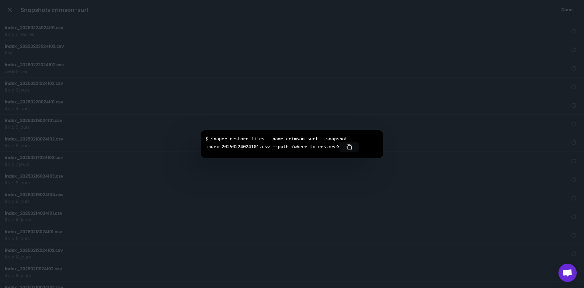 Datashelter Backup restoration process