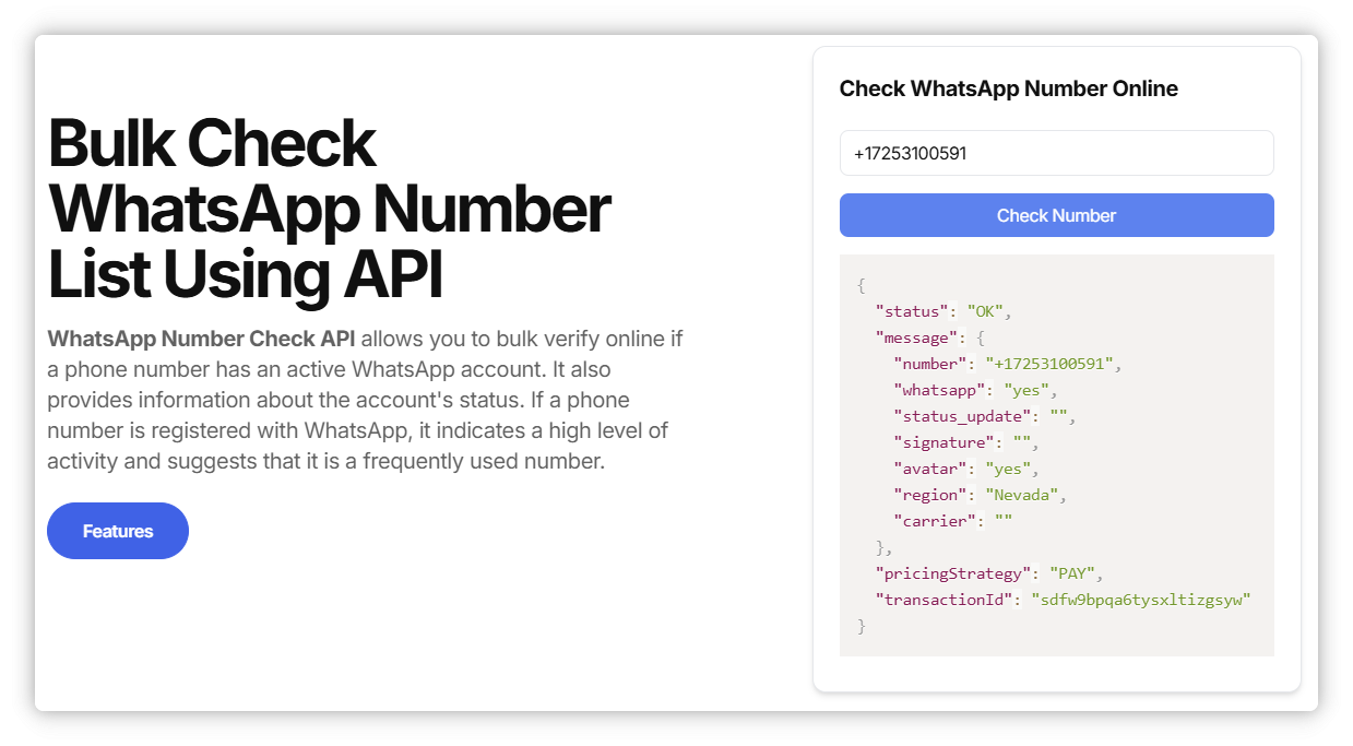 CheckNumber.AI WA Number Checker