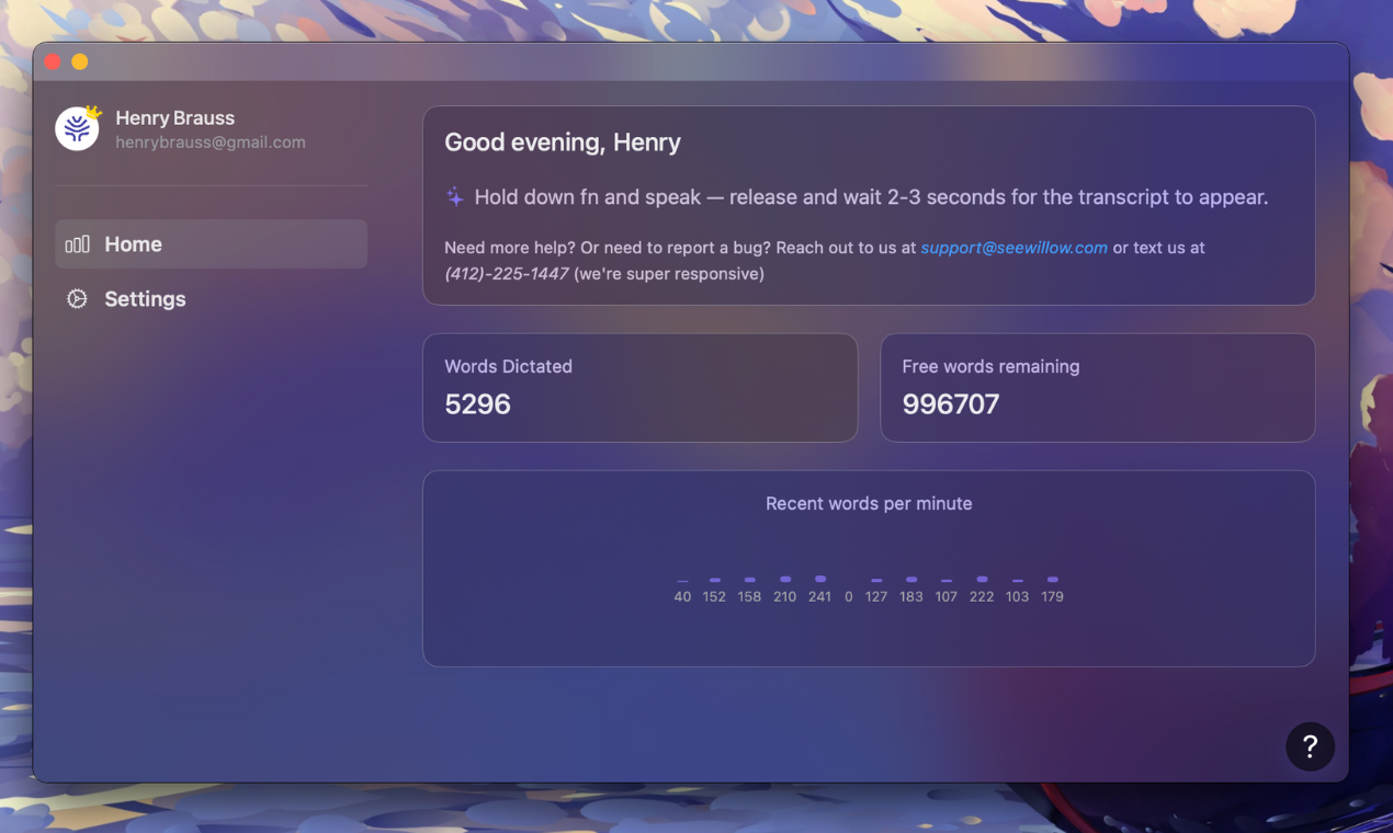 Willow Voice Interface