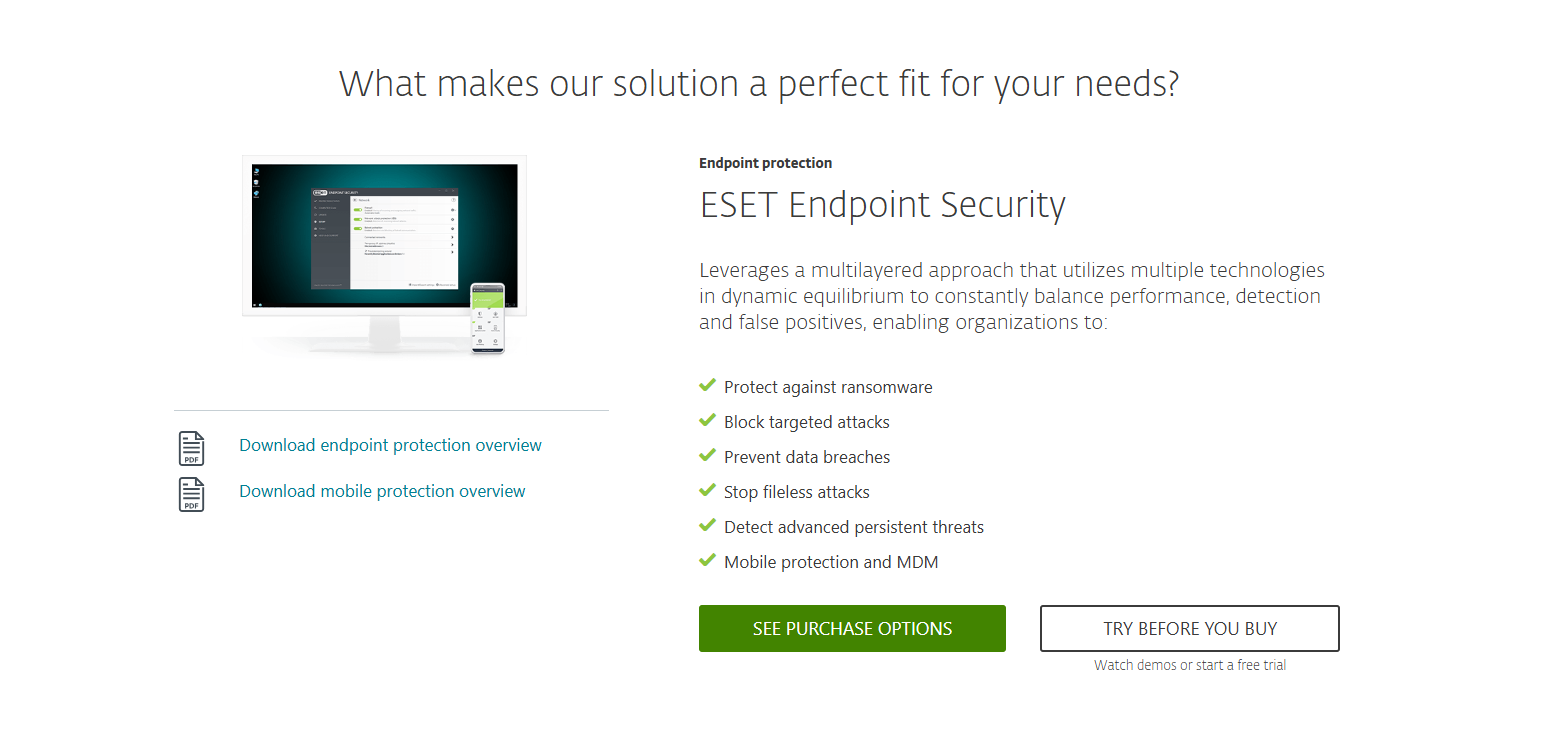 ESET Endpoint Security 