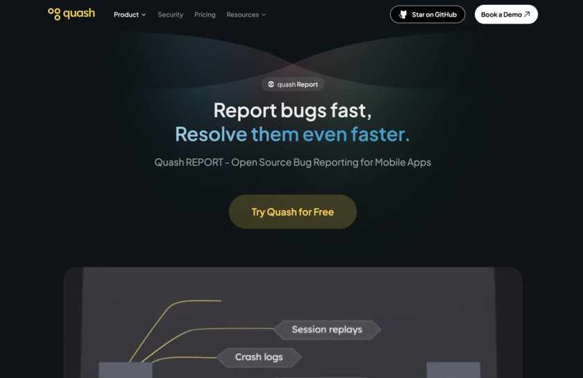 Quash Report Landing Page