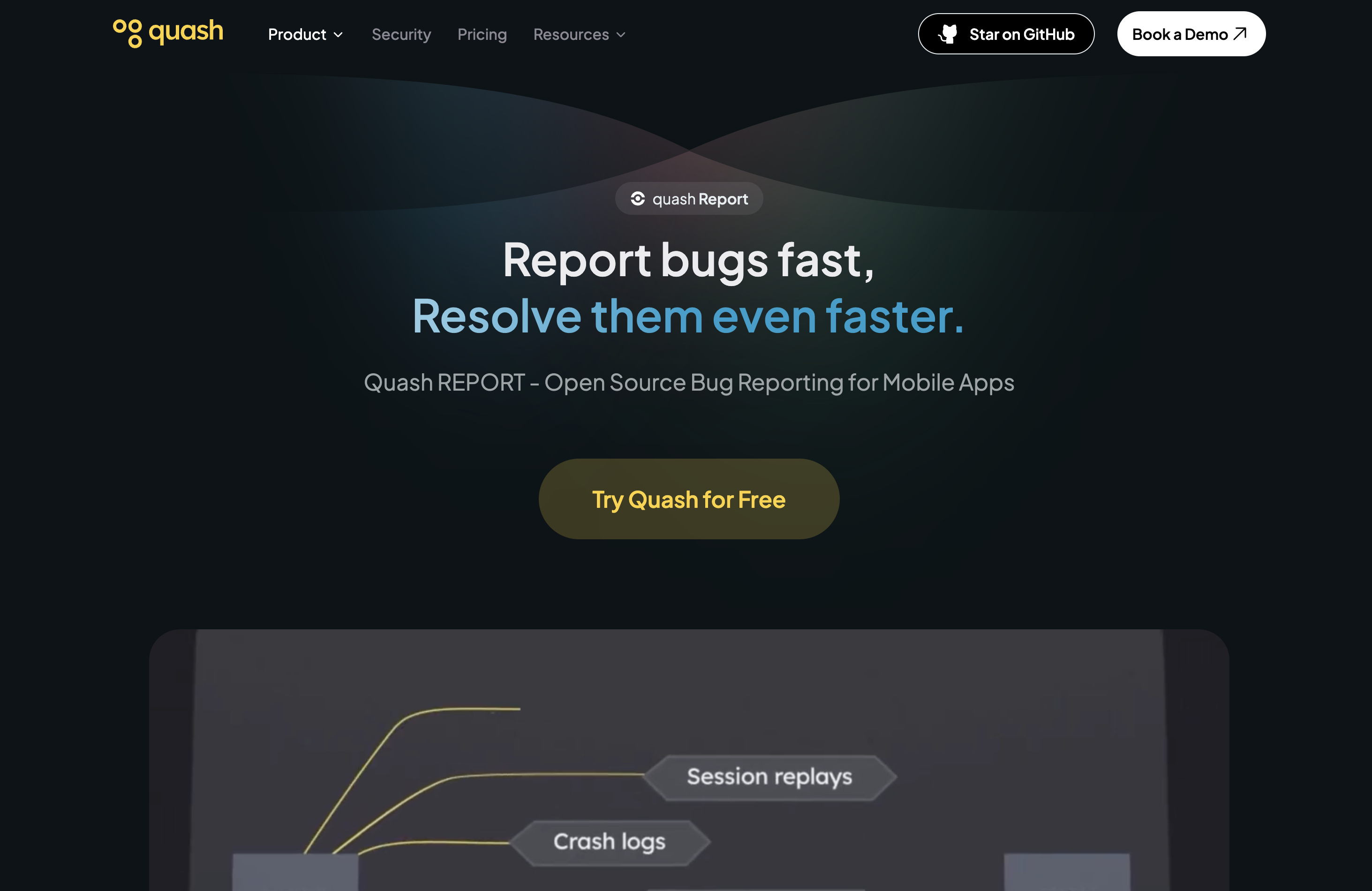 Quash Report Landing Page