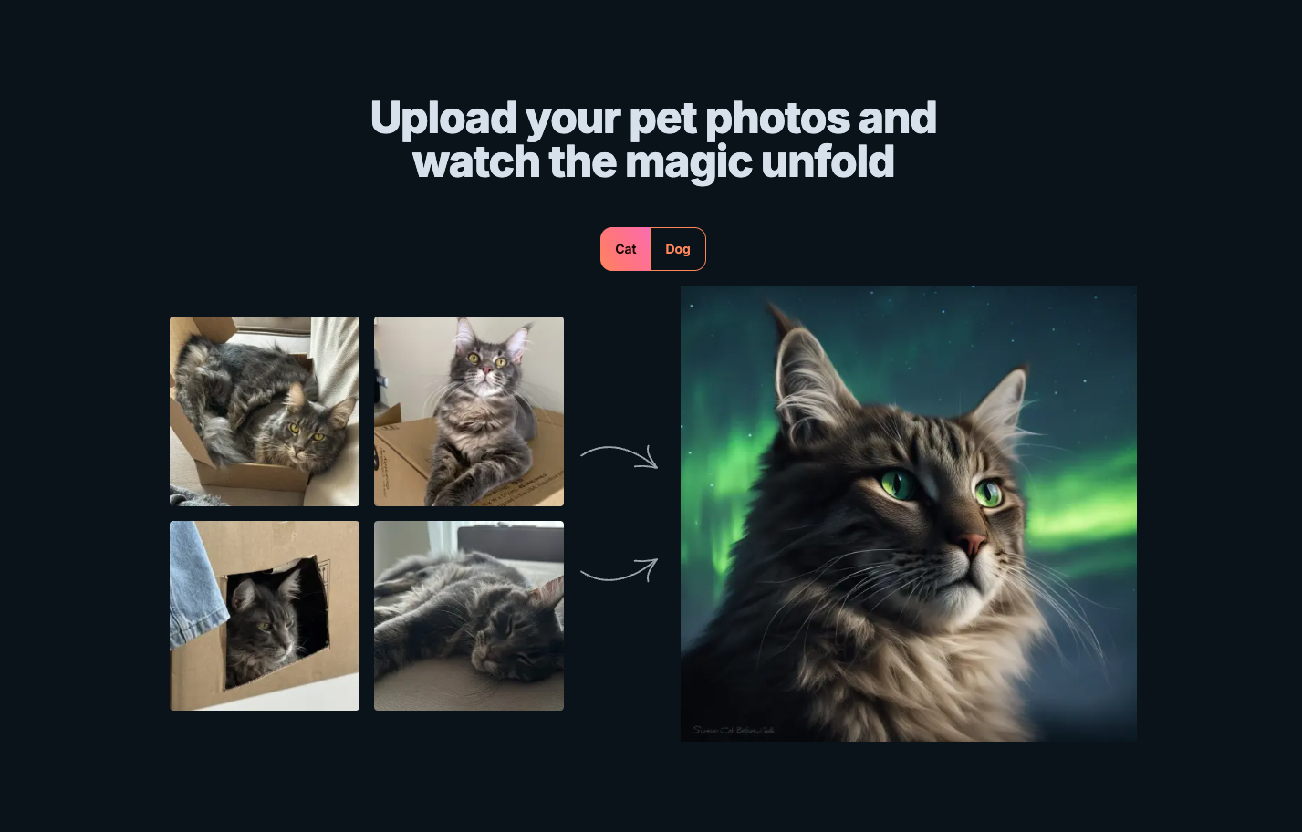 PetPicAI.com 
