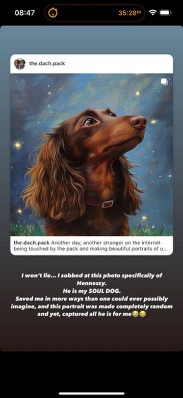 PetPicAI.com 